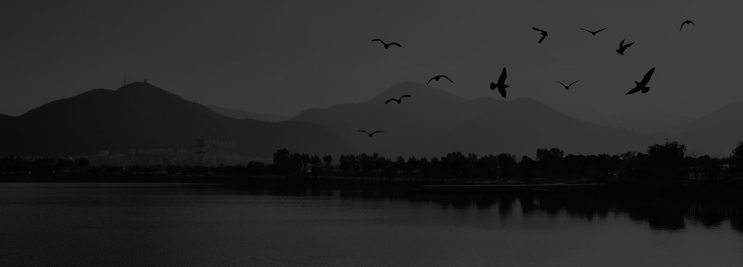 Silhouette of birds flying over a lake with mountains in the background