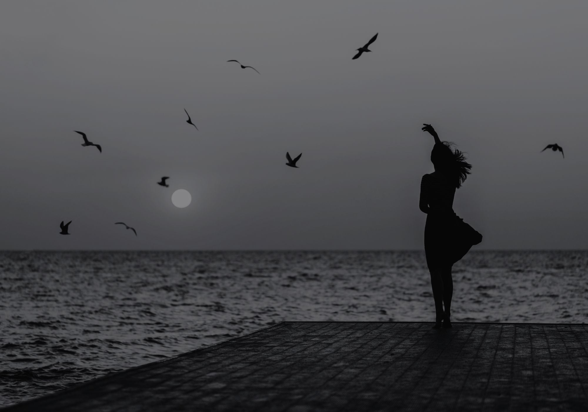 Silhouette of a person on a dock with birds and a moonlit sky over water