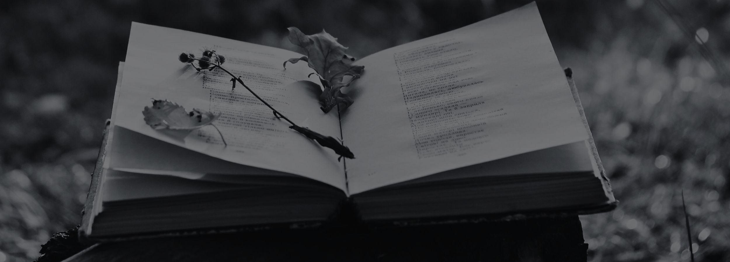 Open book with leaves and a twig on a blurred natural background