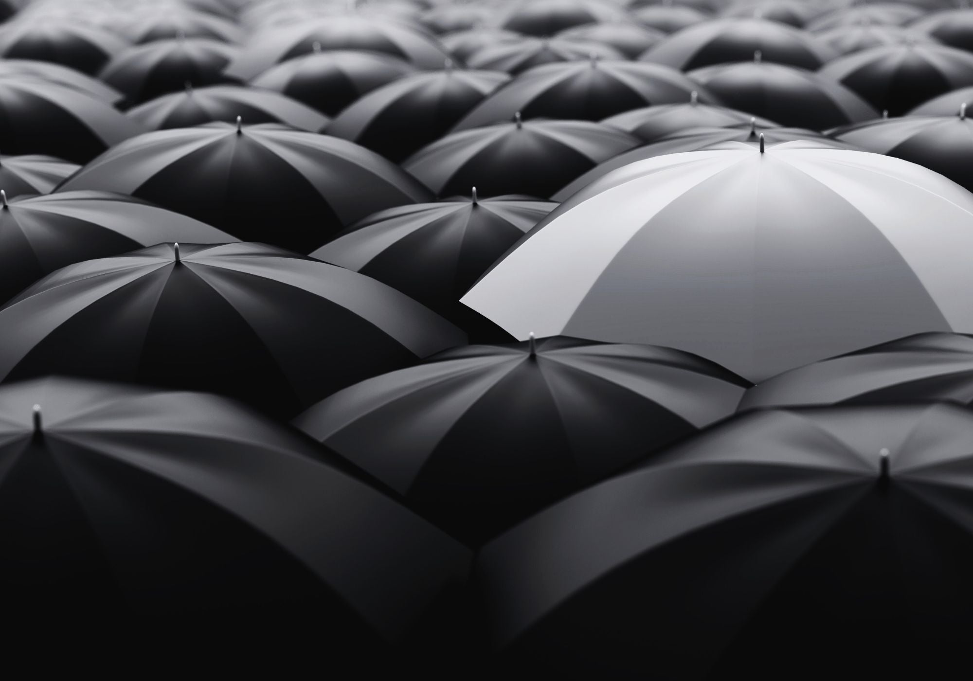 Pattern of black umbrellas with one white umbrella standing out
